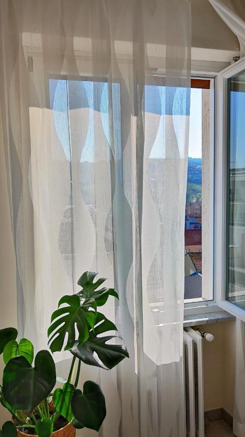 B&B Le Albarelle Dış mekan fotoğraf
